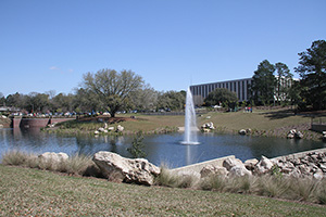 A wide view of a pond